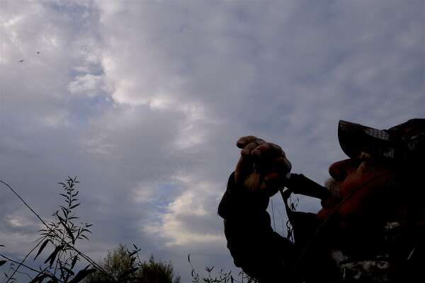 A World Apart On The Butte Sink Marsh Sfchronicle Com