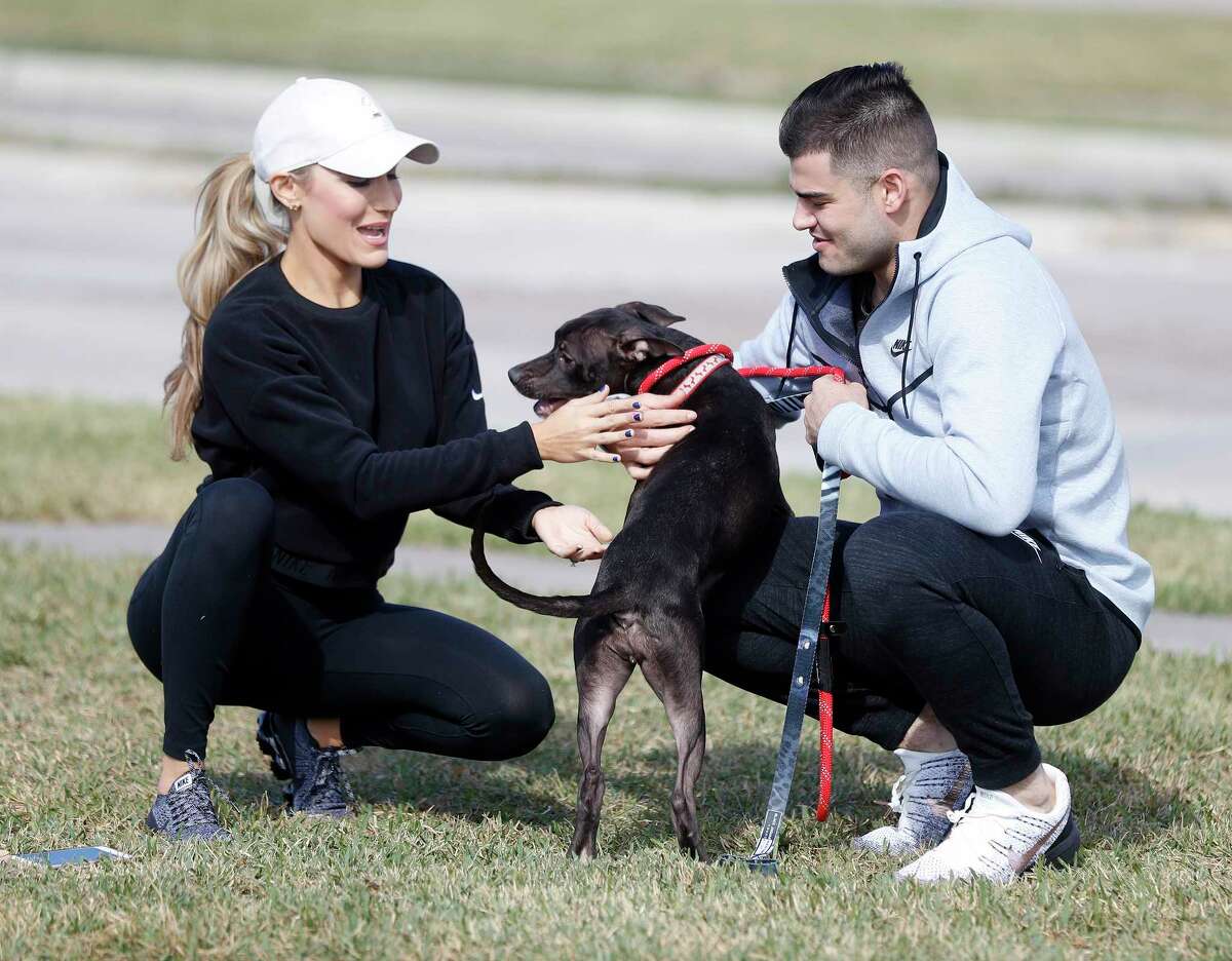 Houston Astros pitcher Lance McCullers Jr. plays with "Candy Corn" the dog, as he and his wife, Kara, walked dogs at the Houston Pets Alive pet rescue and adoption center at 8620 Stella Link Road, Monday, Nov. 20, 2017, in Houston. McCullers is passionate about helping animals in need of adoption. ( Karen Warren / Houston Chronicle )