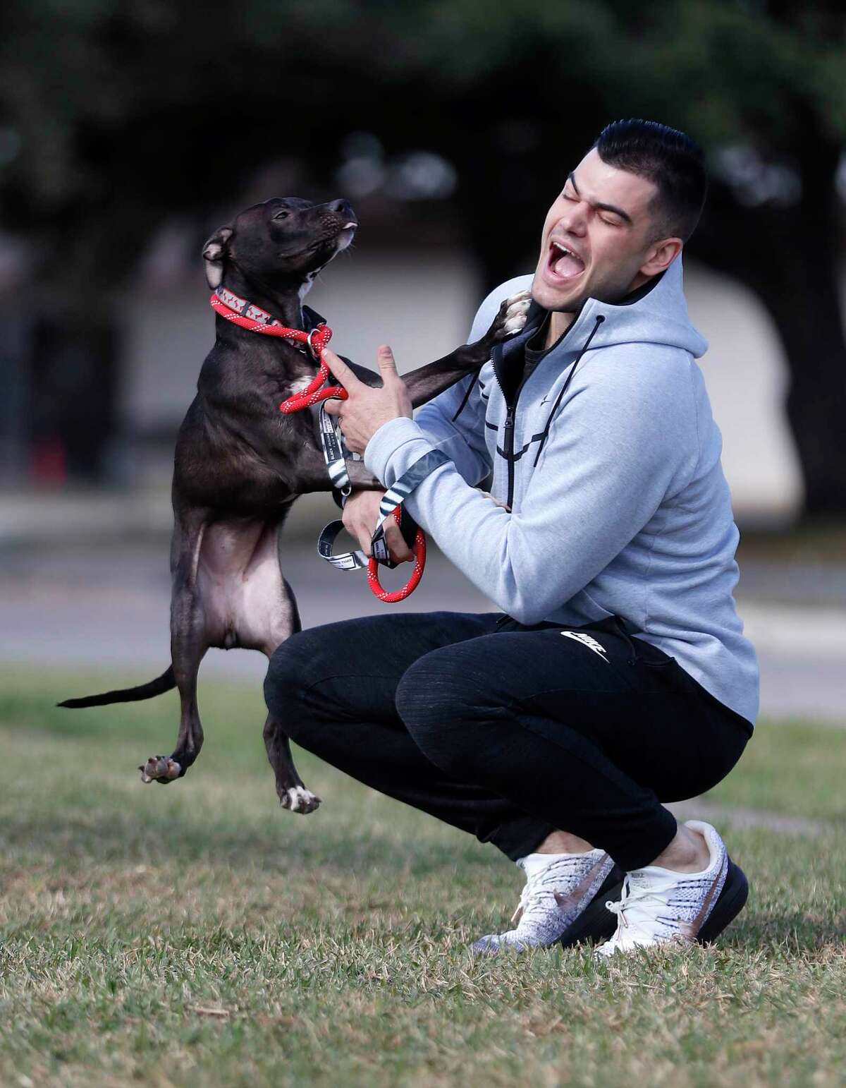 Houston Astros pitcher Lance McCullers Jr. plays with "Candy Corn" the dog, as he and his wife, Kara, walked dogs at the Houston Pets Alive pet rescue and adoption center at 8620 Stella Link Road, Monday, Nov. 20, 2017, in Houston. McCullers is passionate about helping animals in need of adoption. ( Karen Warren / Houston Chronicle )