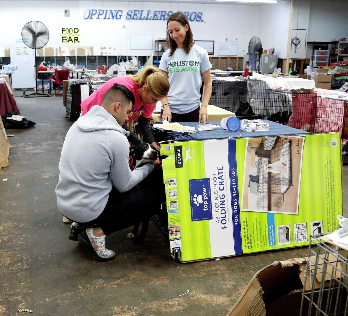 Listen Lance McCullers Jr. talks Astros' title, animal rescue