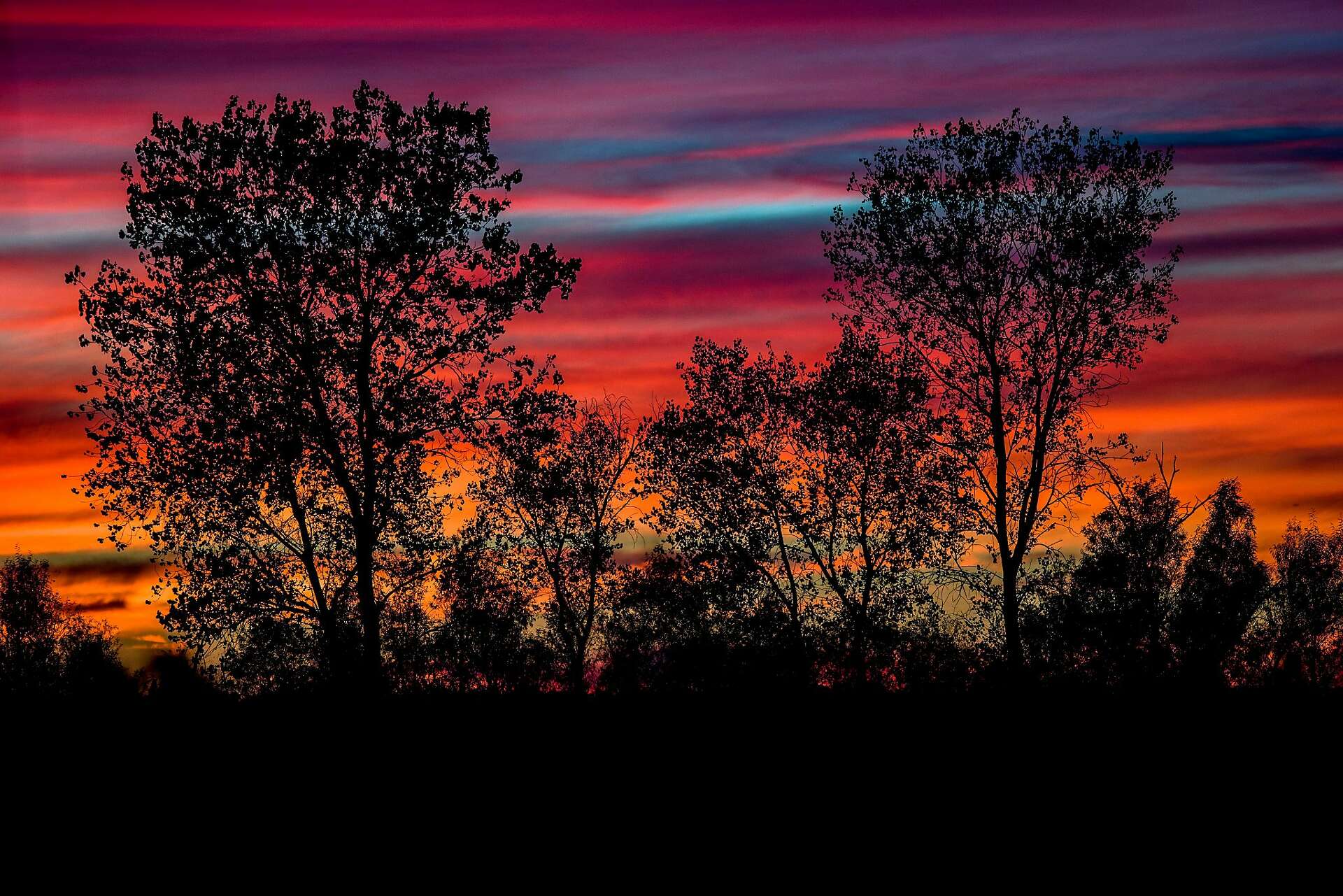 State wildlife agency to require new lands passes at 41 areas