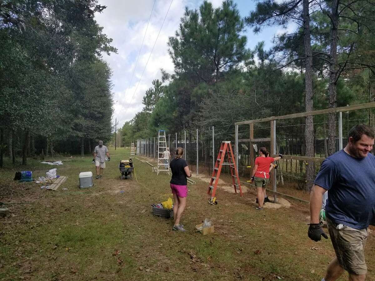 Community members and business leaders recently helped erect an 8-foot tall fence around the facility Saturday, Nov. 18, 2017, after several complaints of nefarious communication between residents in a neighboring development and the rescued victims.