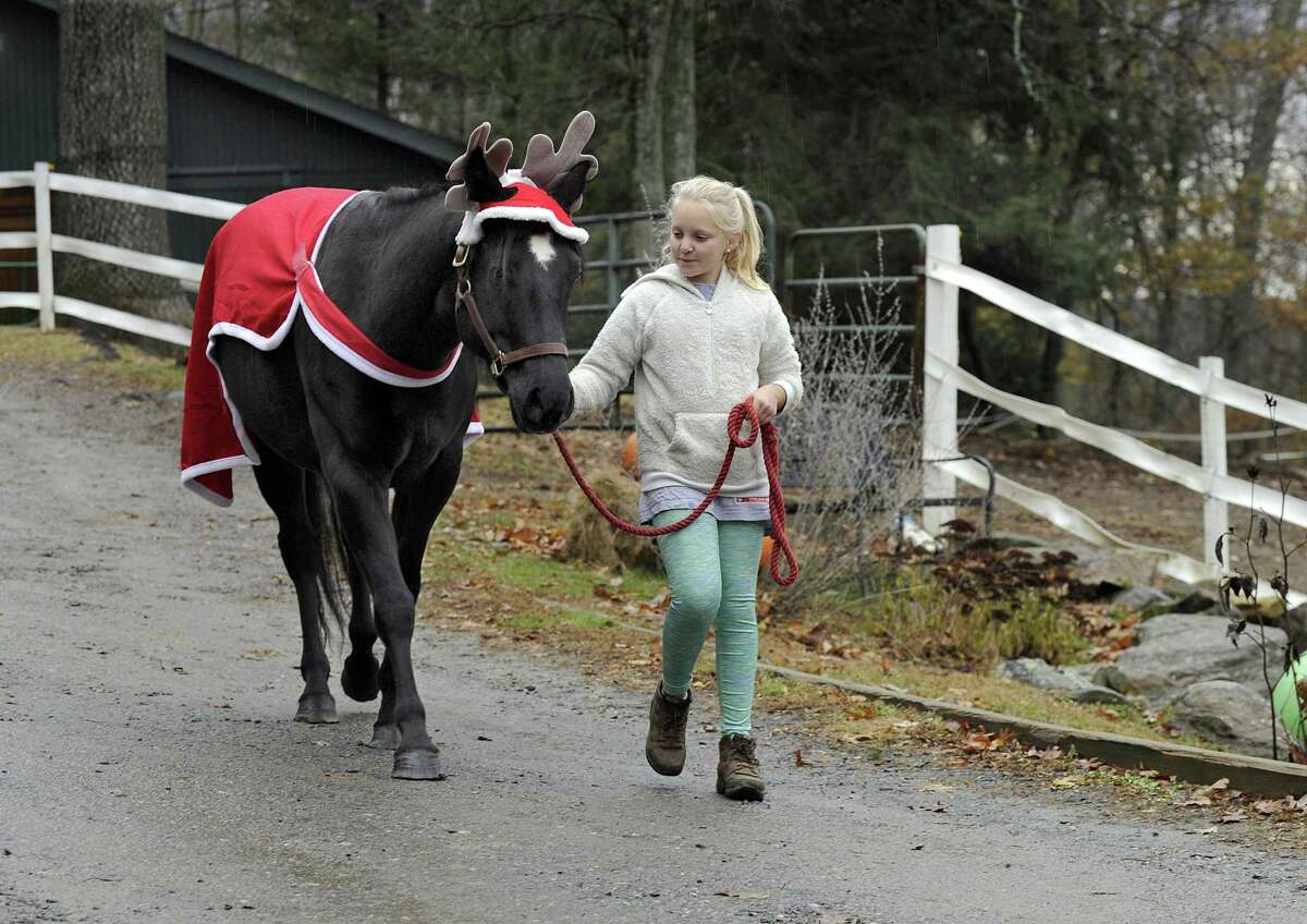Annika Swabsin, 11, of Redding, walks Oliver Twist, a rescue horse at Rising Starr Horse Rescue in Redding, Wednesday, Nov. 22, 2017. Oliver, dressed in a holiday costume, is being walked to accustom him in preparation for walking in the Georgetown holiday parade Dec. 10.