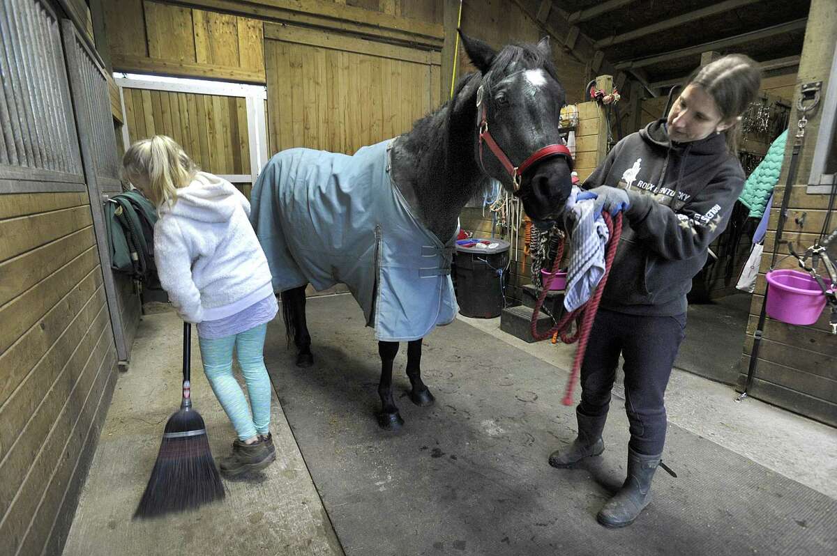 Oliver Twist, a rescue horse at Rising Starr Horse Rescue in Redding, is groomed by volunteer Stacey Young, of Bethel, Wed., Nov. 22, 2017. Annika Swabsin, 11, left, sweeps the barn.