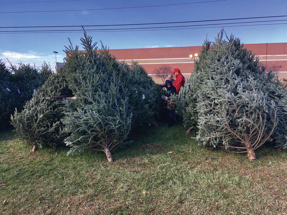 The Edwardsville Lions Christmas tree lot is open from 9 a.m. to 2 p.m. on Saturday and Sunday in front is Shop ‘n Save on Troy Road. During the week, the lot is open Monday through  Friday from 4 to 8 p.. and on Friday from 2 to 8 p.m. Boy Scout Troop 1031 has been helping with the project for the past three years. Photo by Steve Horrell.