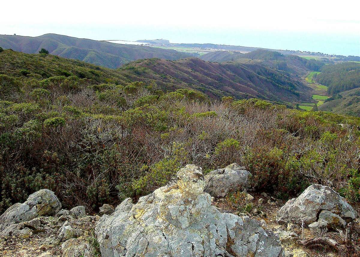 The Spine Ridge Trail in Rancho Corral de Tierra near Moss Beach leads up to a rock outcrop for a spectacular view of the coastal valleys, Pillar Point Harbor and beyond across the ocean.