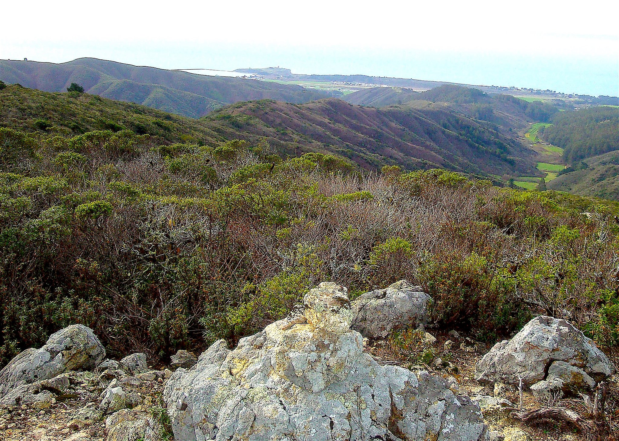 Sunday getaway to Spine Ridge Trail in San Mateo County