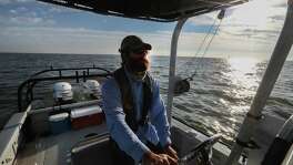 ﻿Biologist Cory Scanes pilots a boat in Galveston Bay, where dolphins are turning up with skin lesions.﻿