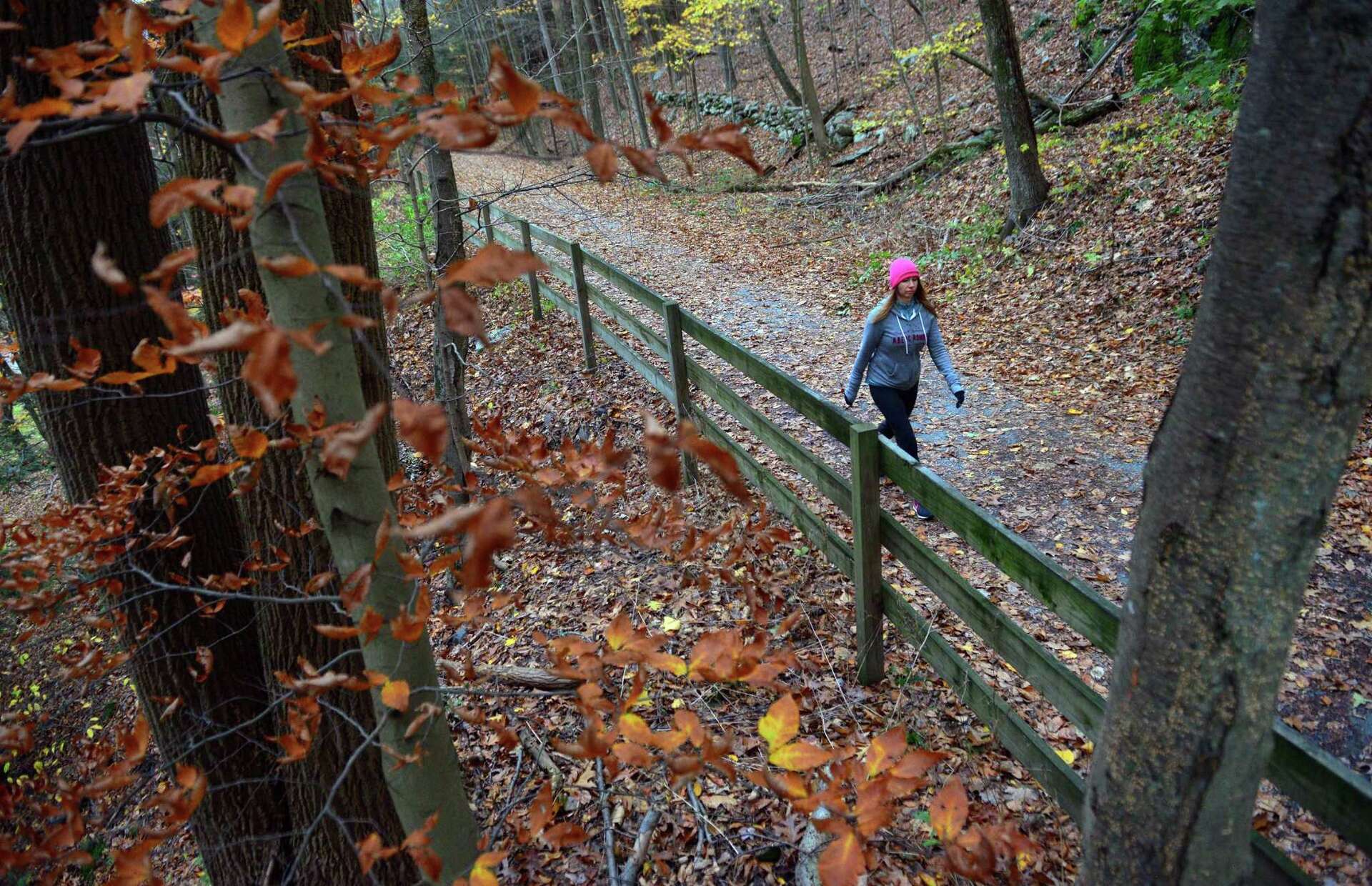Pequonnock River Trail