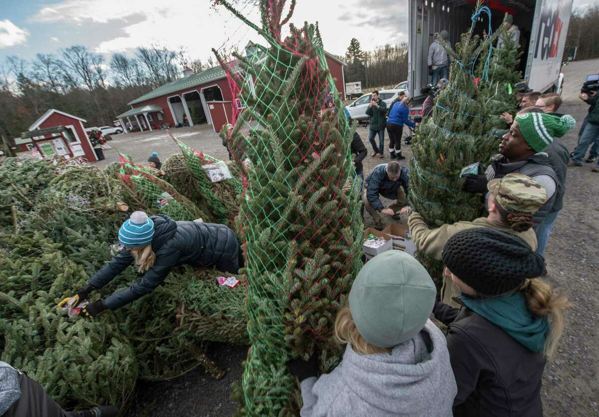 Photos Trees for Troops