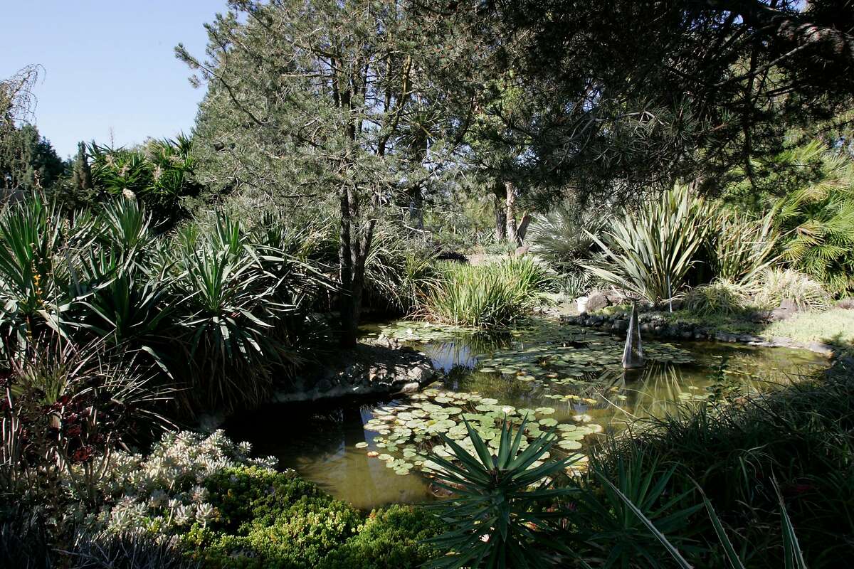 Ruth Bancroft, California garden pioneer, dies at 109