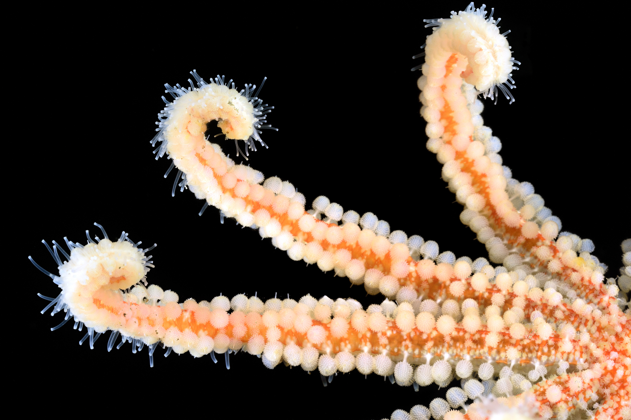 Secrets of the rocks: Photos from the quest to find the origins of life