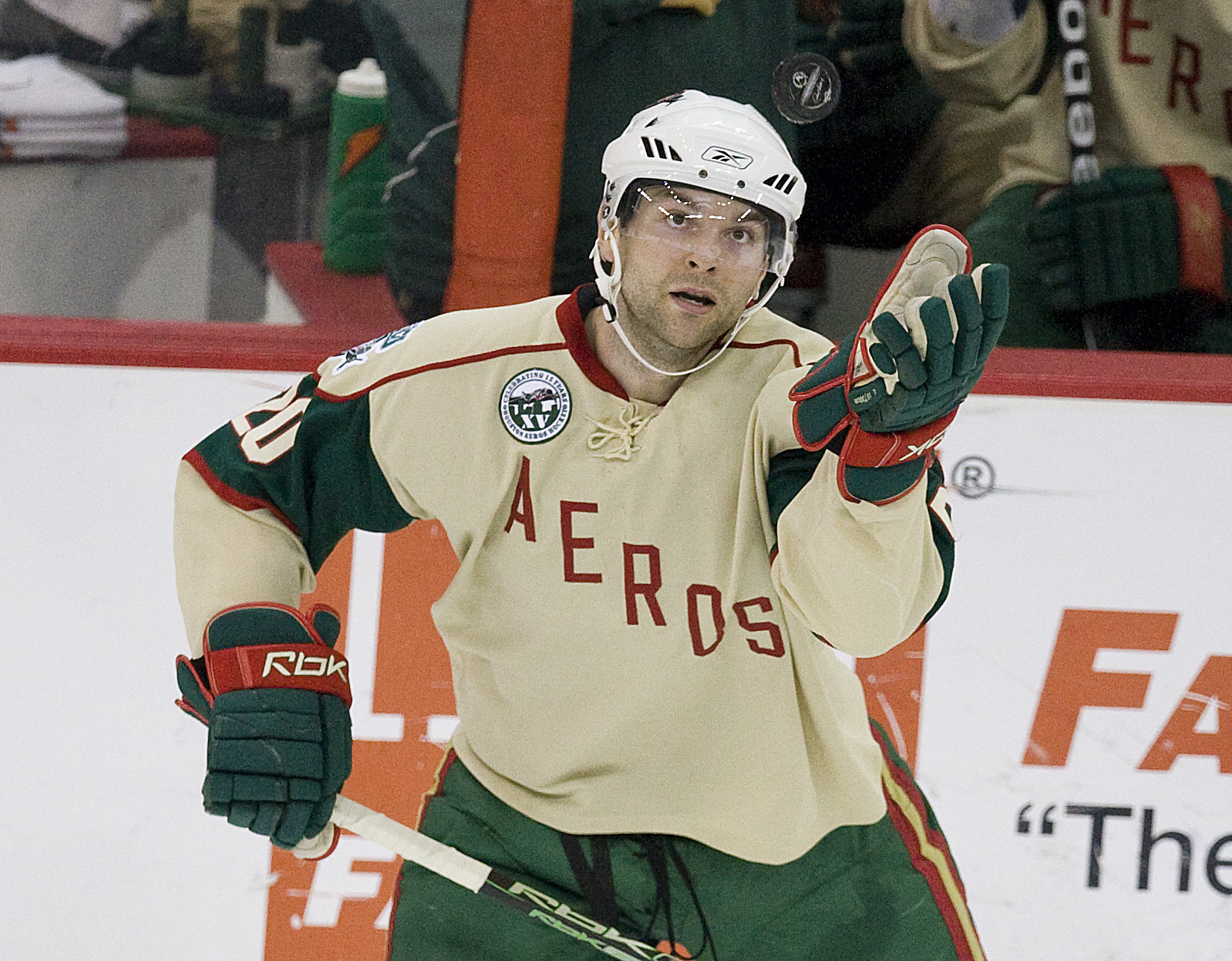 Houston Aeros: What happened to Houston's former ice hockey team 10 years  ago?