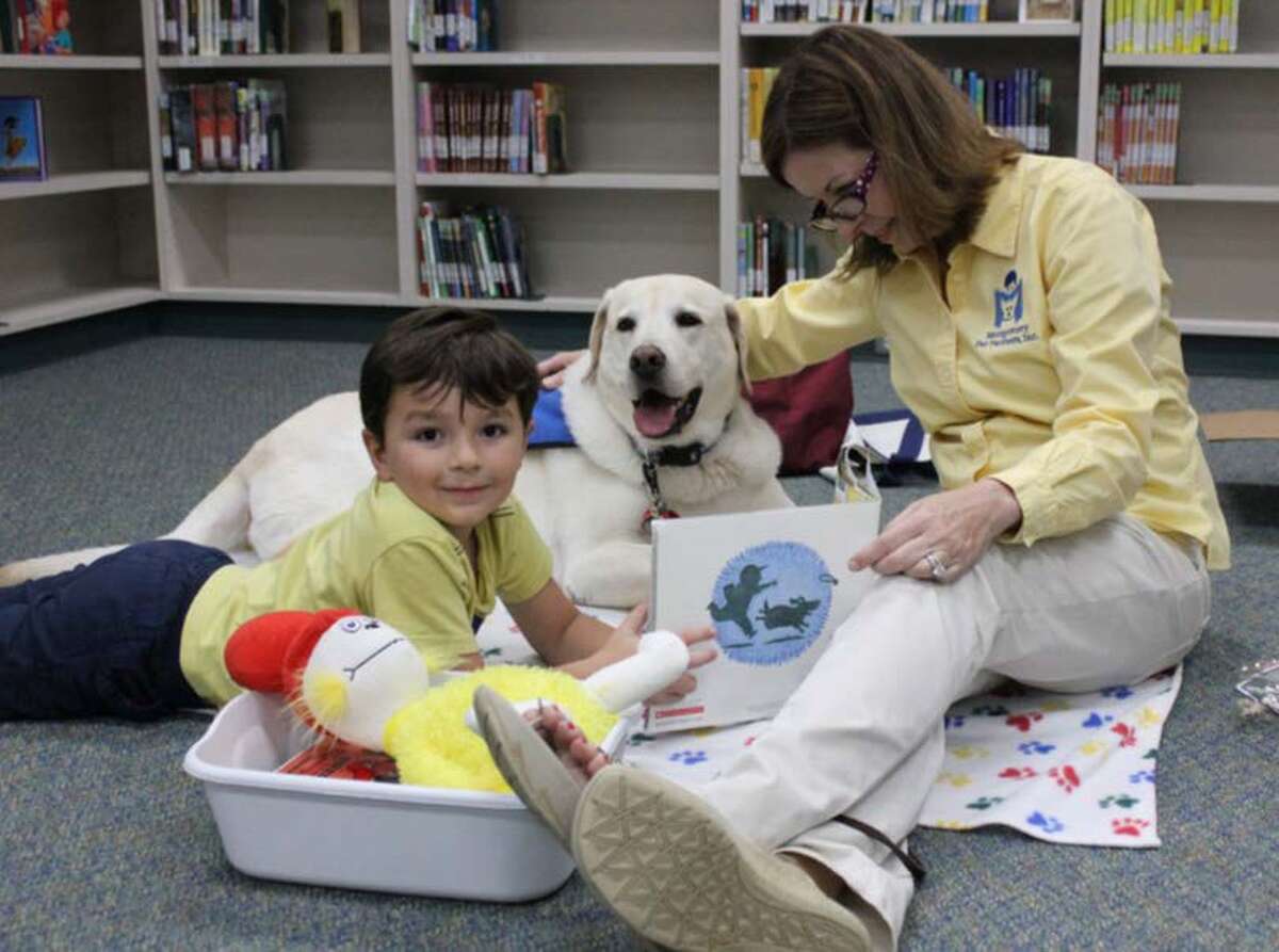therapy dogs for children