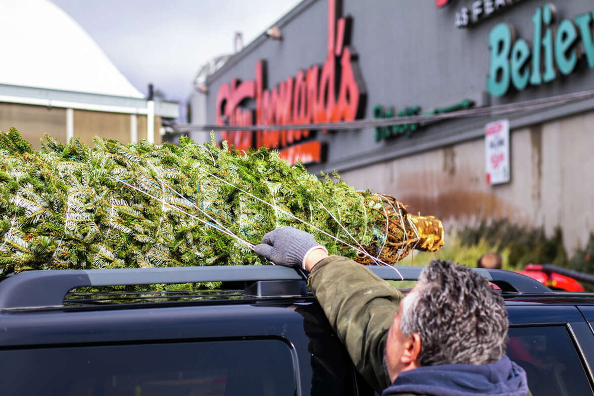 Christmas tree farmers aim to boost sales via social media