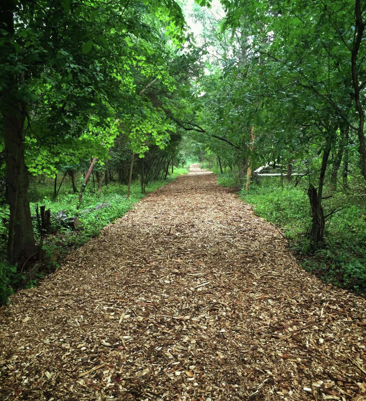 The trail through the H. Smith Richardson Wildlife Preserve in Westport was created as a result of the efforts of volunteers and local environmental nonprofits.