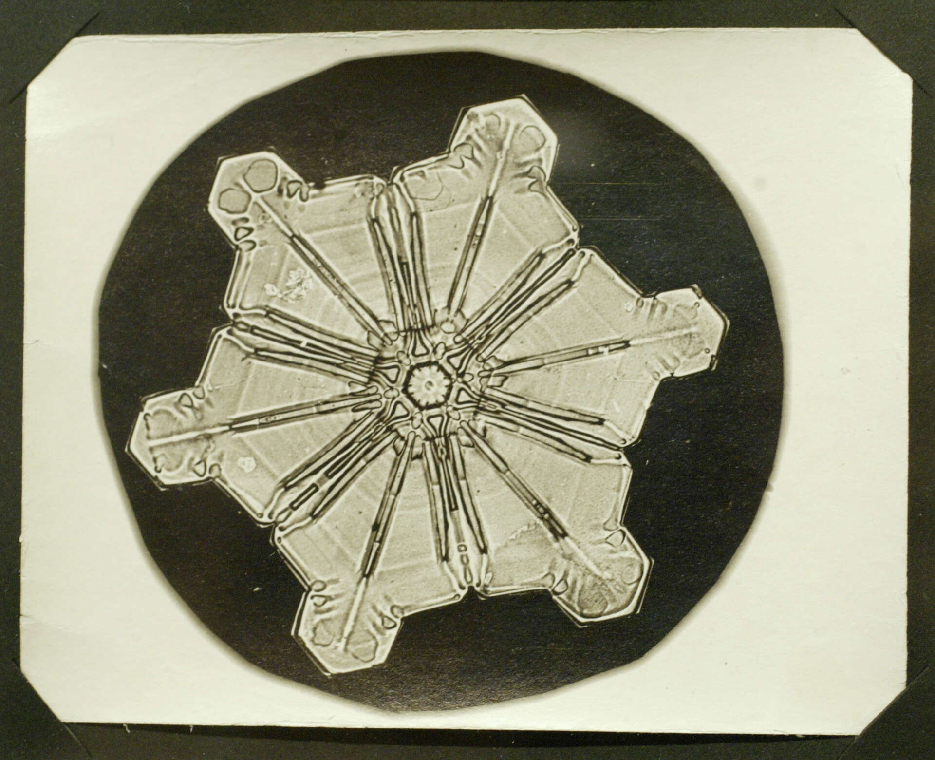 Snowflake Patterns Inventor How a pioneer snowflake photographer captured photos before modern ...