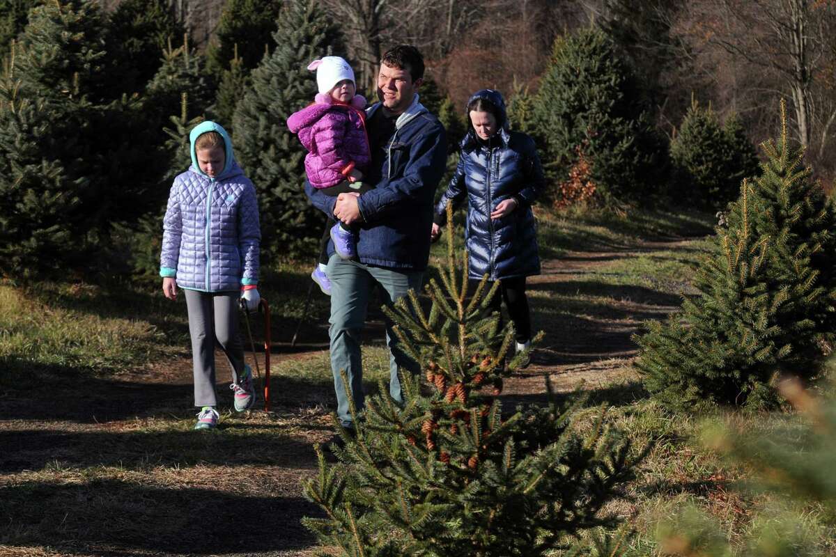 Christmas tree sales, supplies, just fine, local growers say