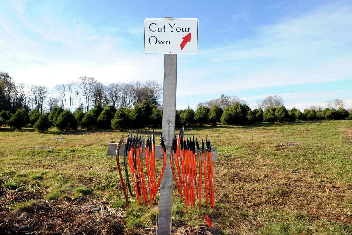 Christmas tree sales, supplies, just fine, local growers say