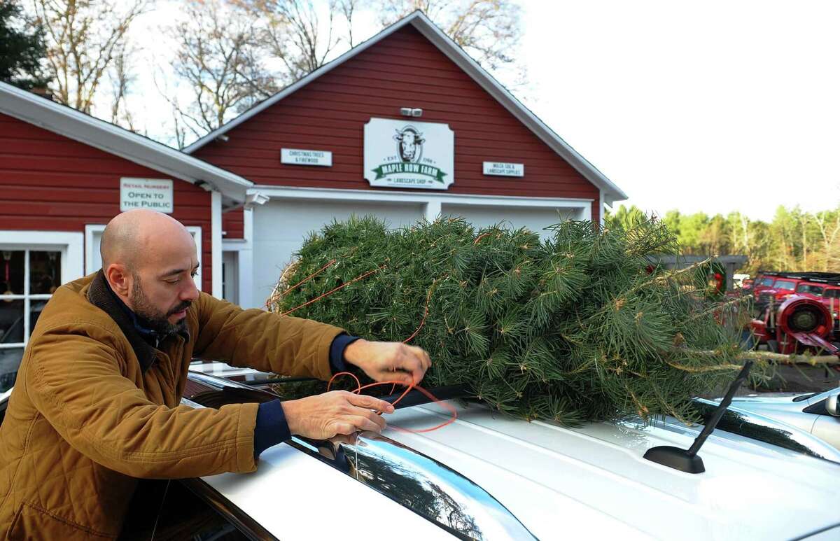 Christmas tree sales, supplies, just fine, local growers say