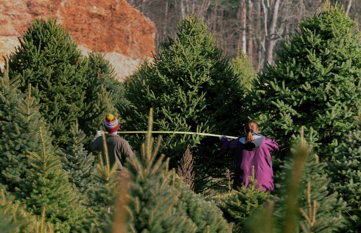 Christmas tree sales, supplies, just fine, local growers say