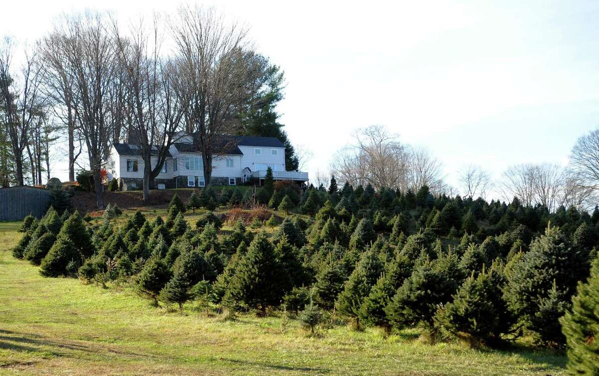 Christmas tree sales, supplies, just fine, local growers say