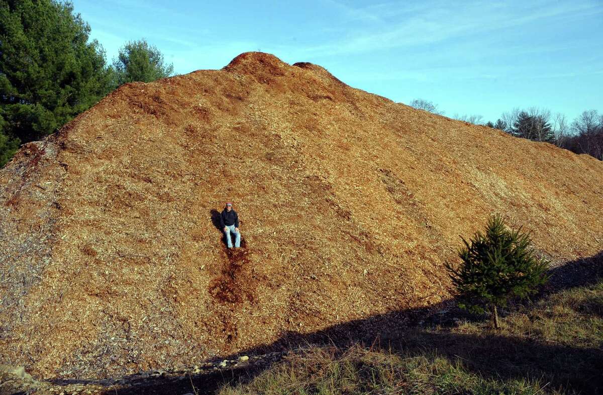 Christmas tree sales, supplies, just fine, local growers say