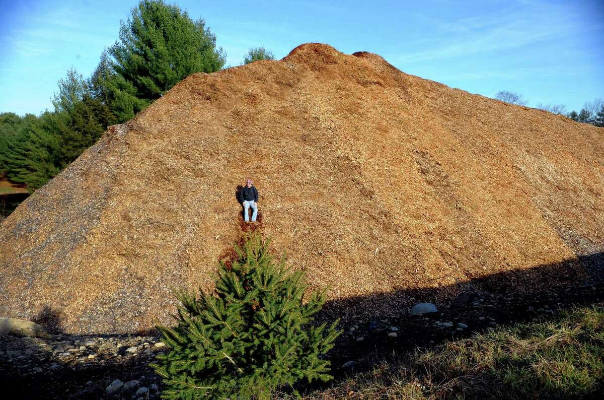 Christmas tree sales, supplies, just fine, local growers say