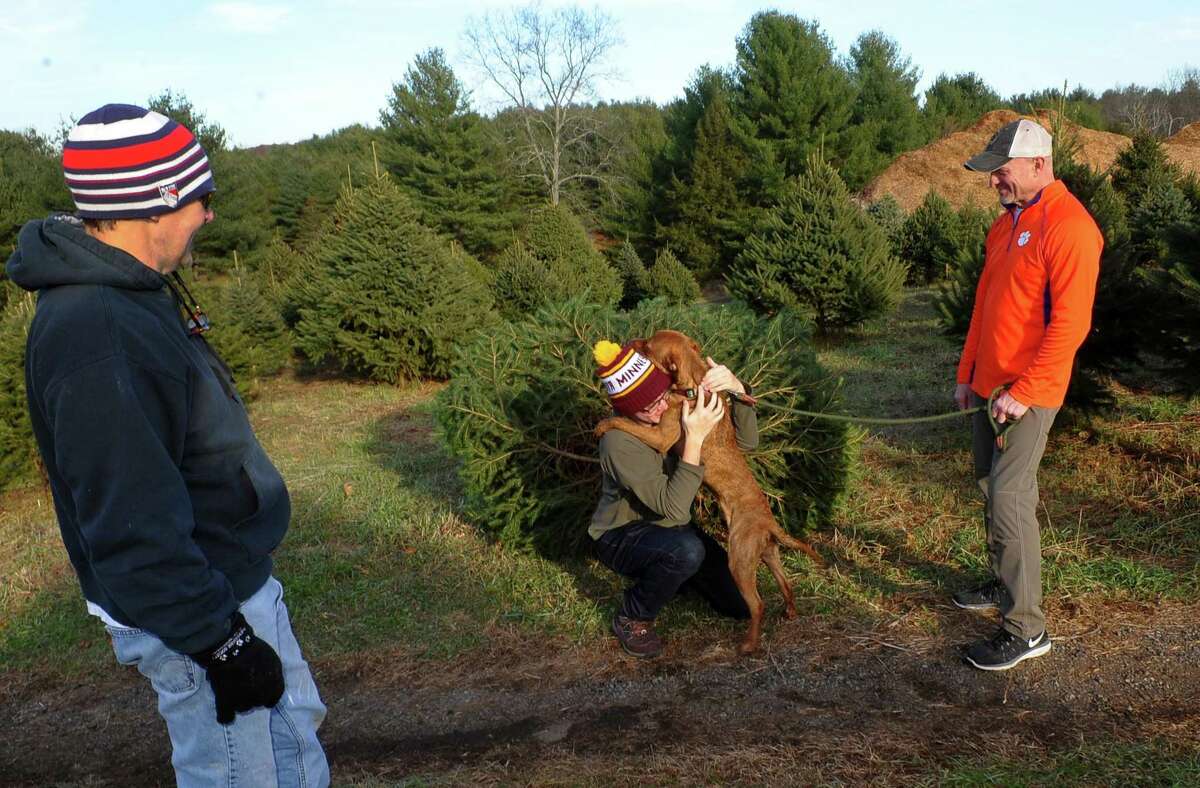 Christmas tree sales, supplies, just fine, local growers say