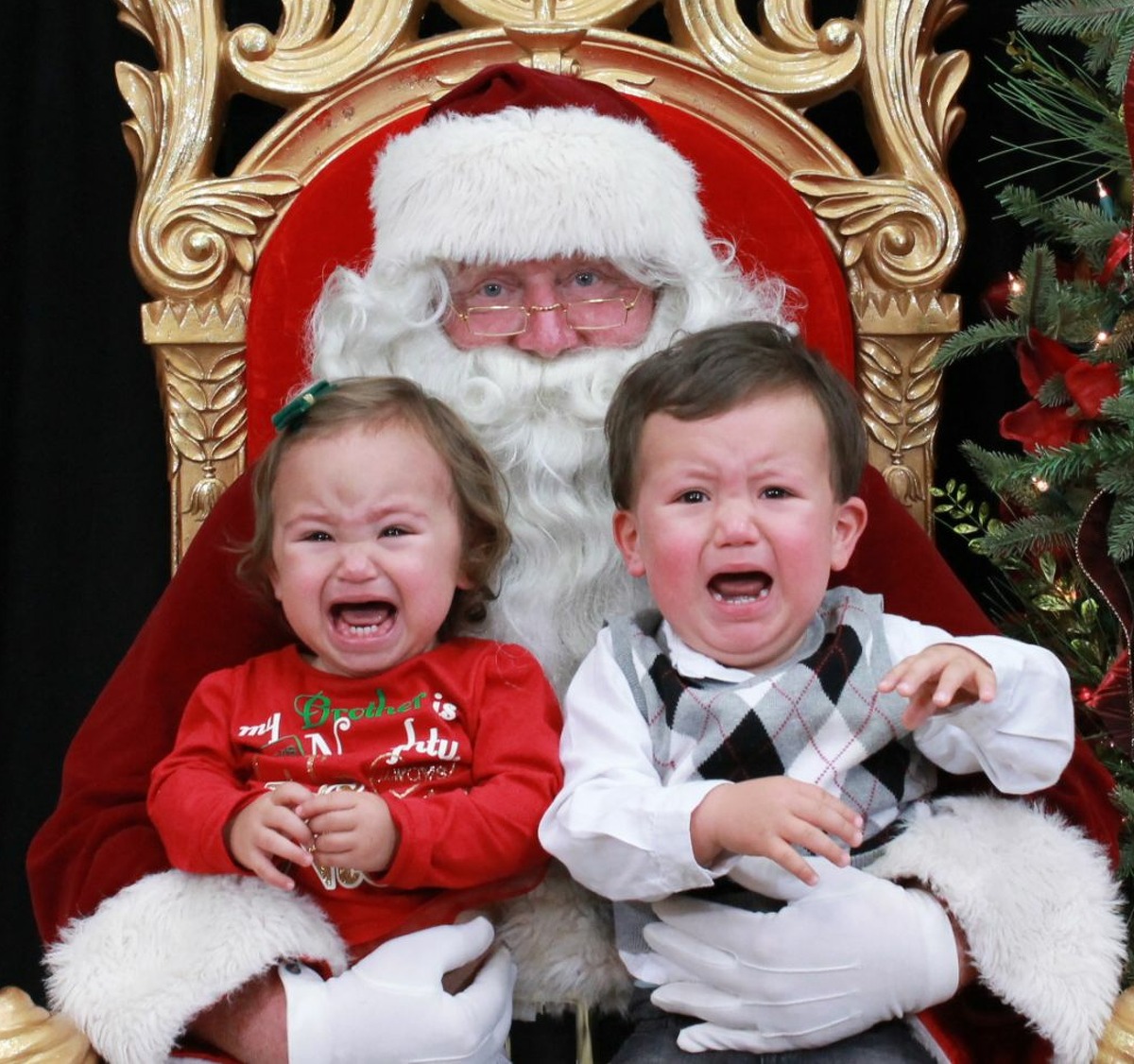 Adorable photos of children screaming and crying with Santa