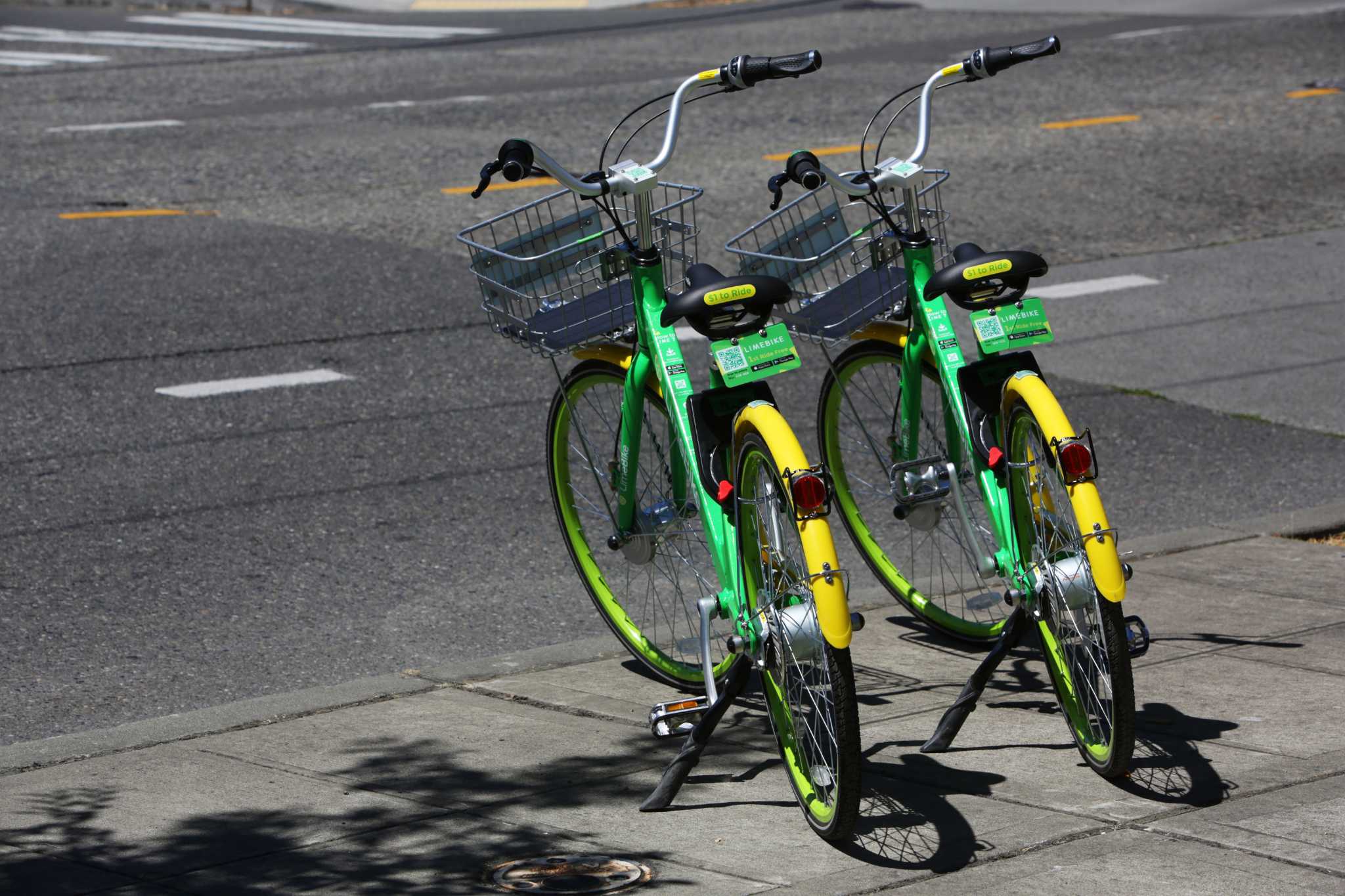 dockless bike companies