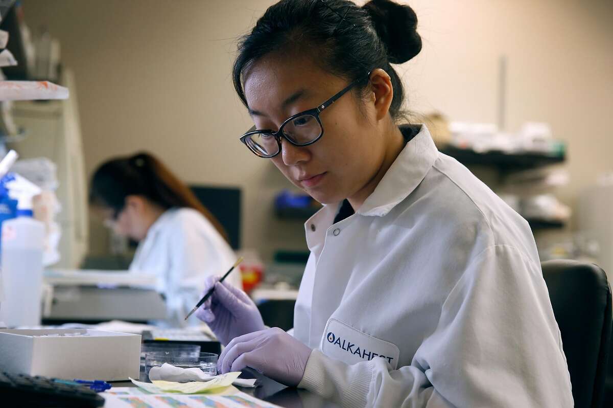 Angela Liu works inside one of the labs at Alkahest biotech firm in San Carlos, Calif. on Wednesday, Nov. 22, 2017. Alkahest is doing extensive research on slowing the aging process in humans.