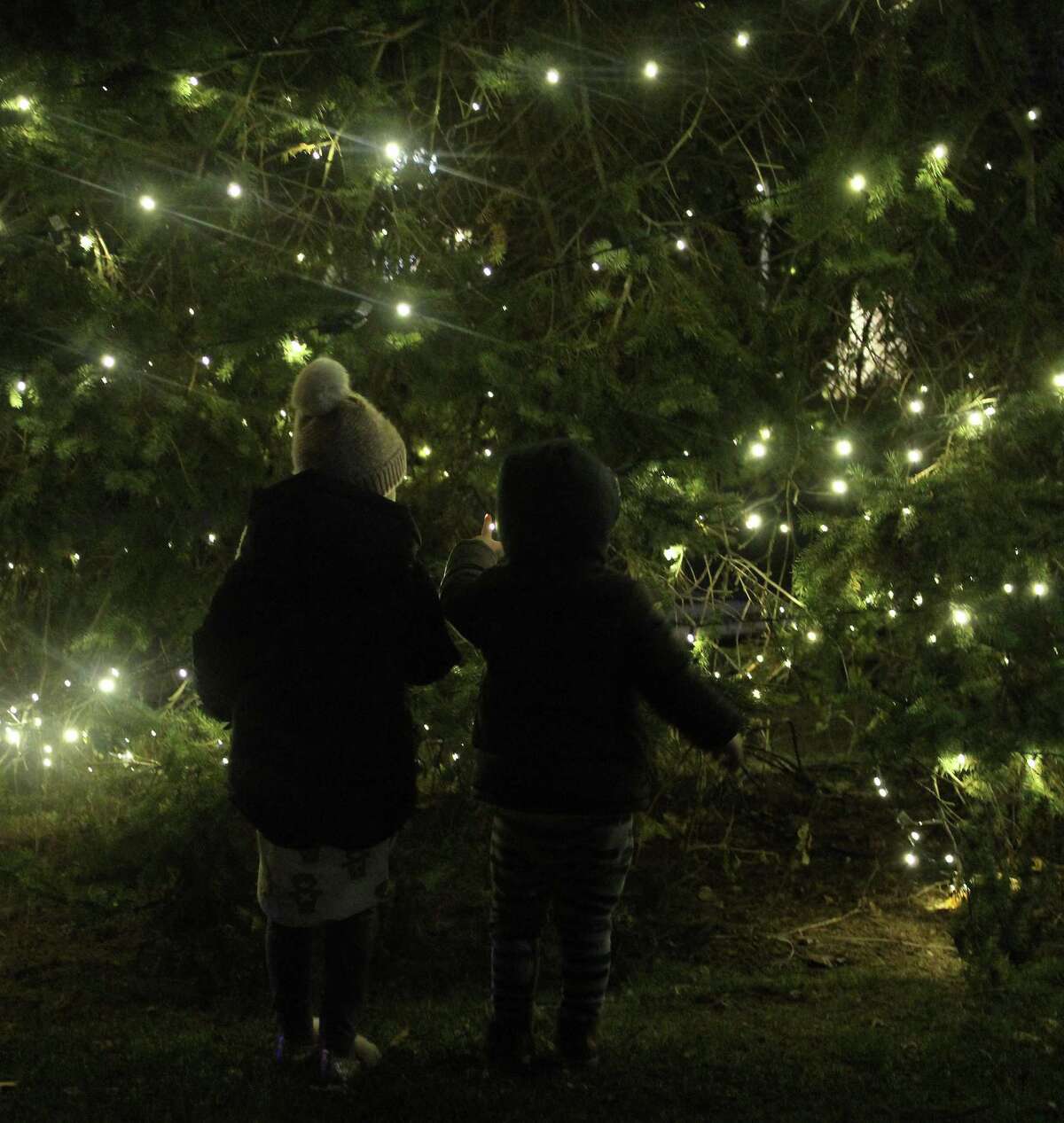 Westport lights Christmas tree, spirits