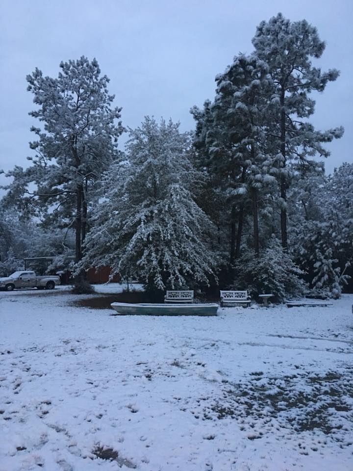 Mauriceville in pictures