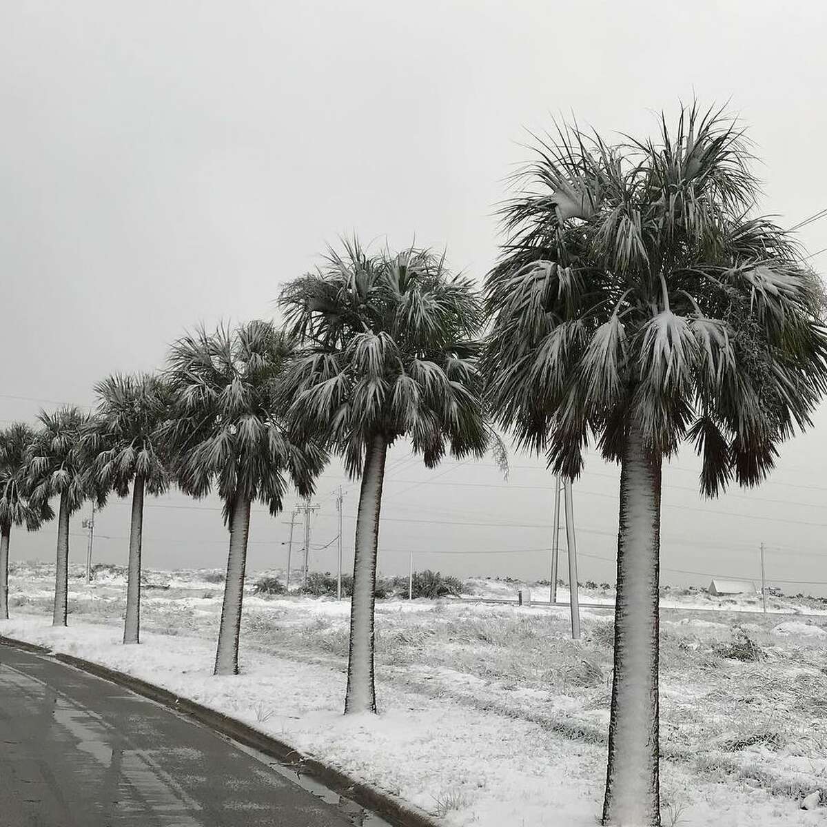 It’s a beautiful Winter morning in Port Aransas, complete with #snow.