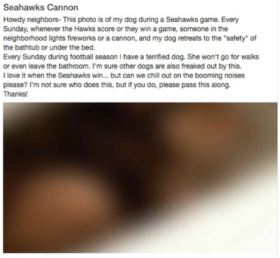 Scared Dogs A Cannon A Fight This Nextdoor Thread Went Bad