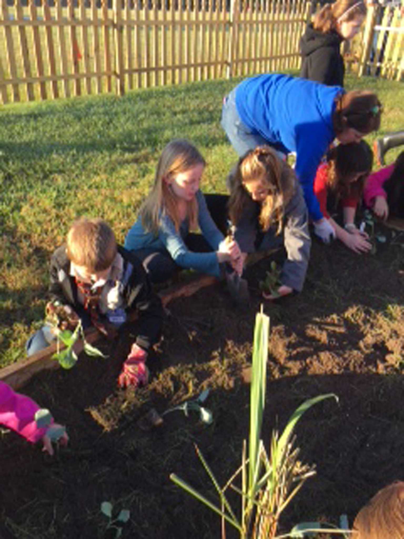 Junior Master Gardener Clubs Blooming At Magnolia Schools The
