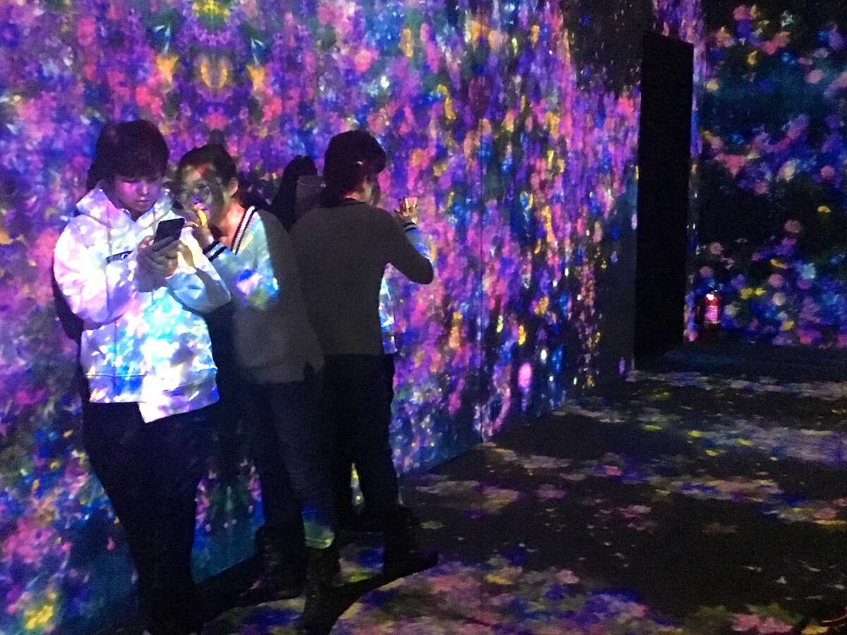 Projections of randomly generated flowers cover visitors to �The Living Digital Forest� installation in Beijing�s 798 Arts District