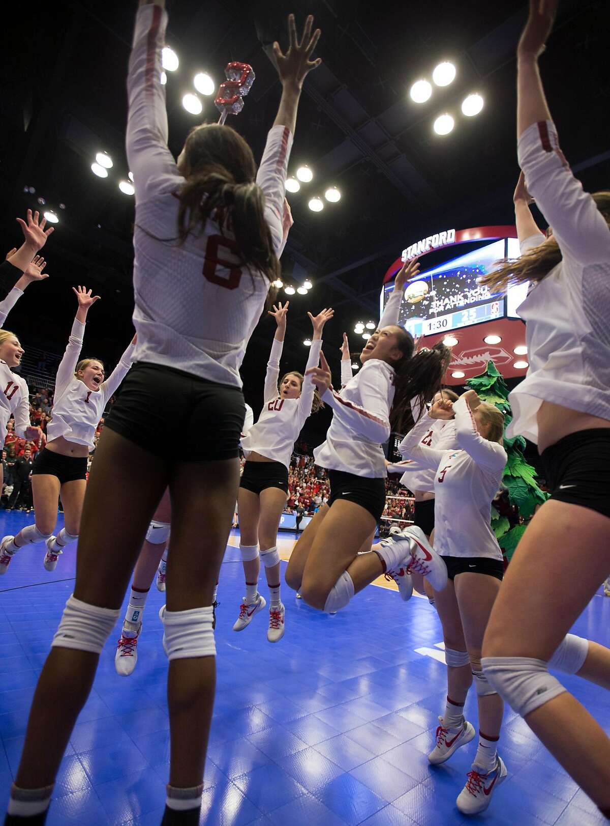 Stanford women back in volleyball Final Four after sweeping Texas