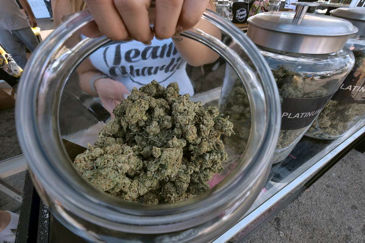 FILE - In this Nov. 11, 2017 file photo, one of an assortment of marijuana strains are displayed during the High Times Harvest Cup in San Bernardino, Calif. On Friday, Dec. 8, 2017, California began accepting applications from businesses that want to operate in the state's legal marijuana industry next year, a milestone for the emerging market. (AP Photo/Richard Vogel, File)