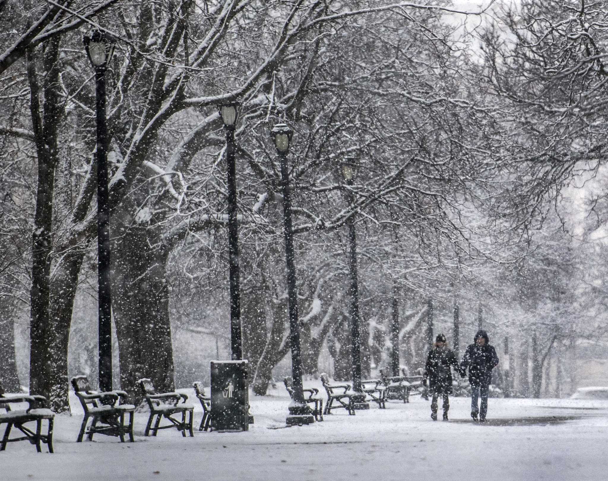 Winter arrives with snow for the Albany area
