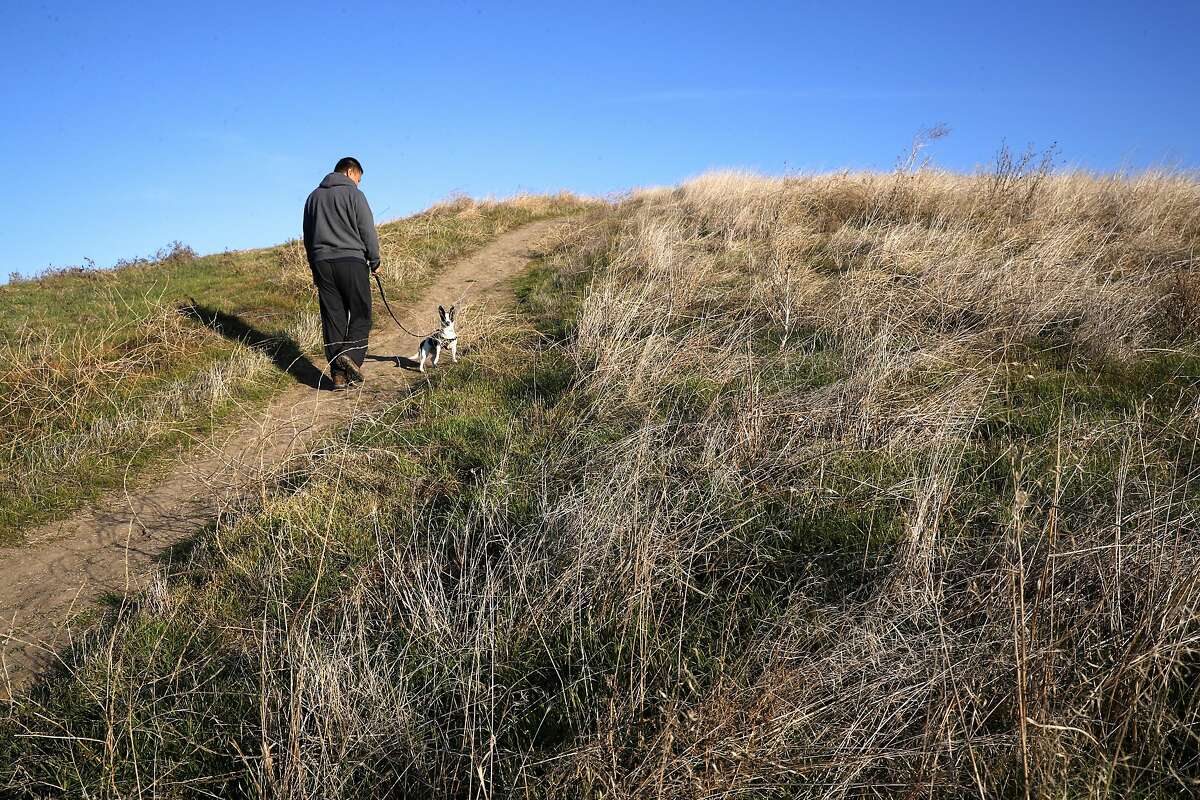 Jay Liu walks his dog "Harry" on the trail through the Dougherty open space on Thursday December 14, 2017, in Dublin, Calif.