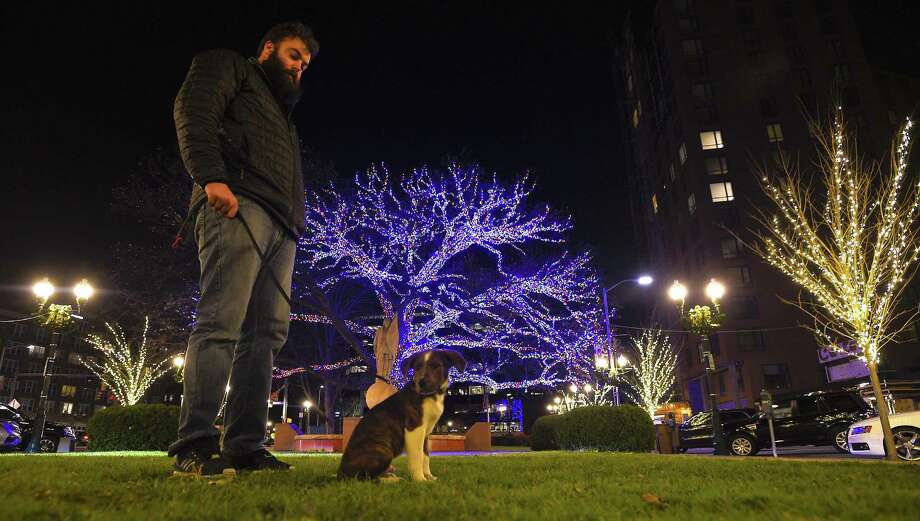 New Holiday Lights Brighten Stamford S Downtown New Holiday Lights Brighten Stamford S Downtown