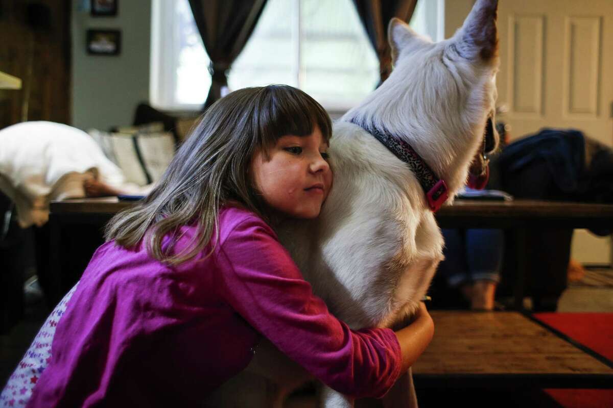Ava Pettit, 8, left, hugs the family dog, Zoe, in Webster. About a year ago, Zoe bit Ava in the face while jumping for a treat. Ava’s parents rushed her to a hospital in their insurance network, but while there, four of the five doctors who treated Ava were not in network, leaving the family with a $5,000 bill. The family ended up paying $3,600 after negotiations. It’s an unfair system that blindsides patients and their families.
