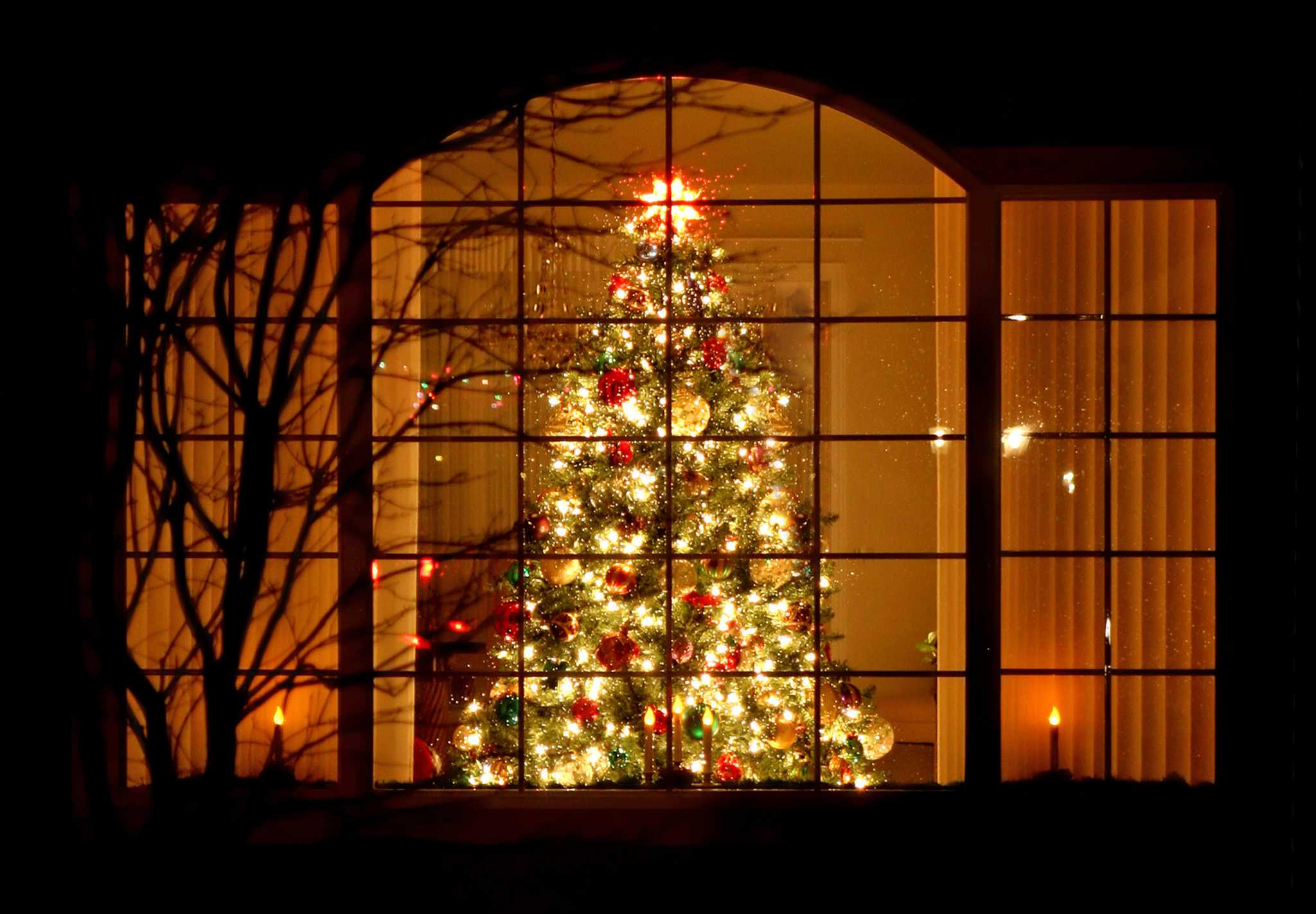 Everything you didn #39 t know about Christmas Everything you didn #39 t know about Christmas