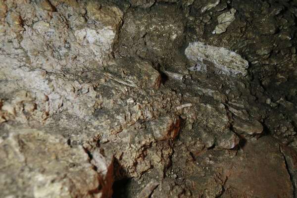 Friesenhahn Cave just outside S.A. yielded treasure trove of Ice Age ...