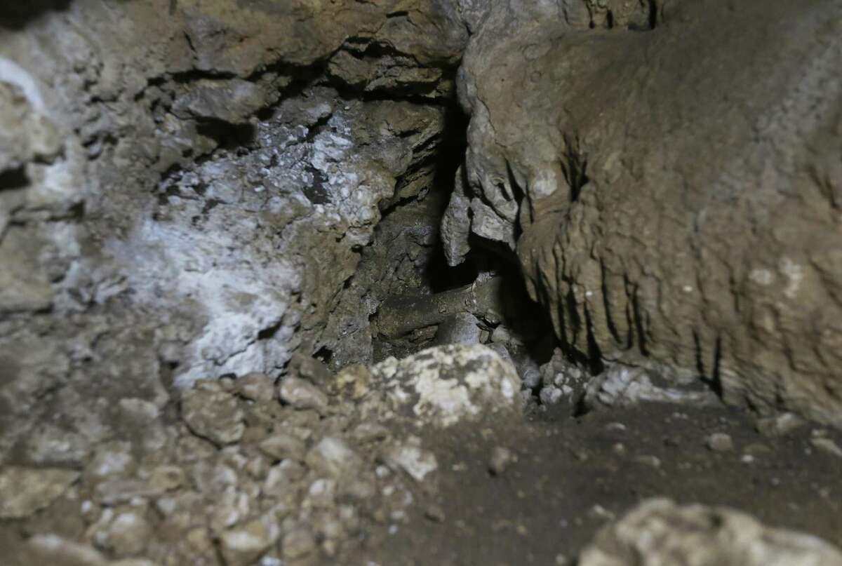 Friesenhahn Cave just outside S.A. yielded treasure trove of Ice Age ...