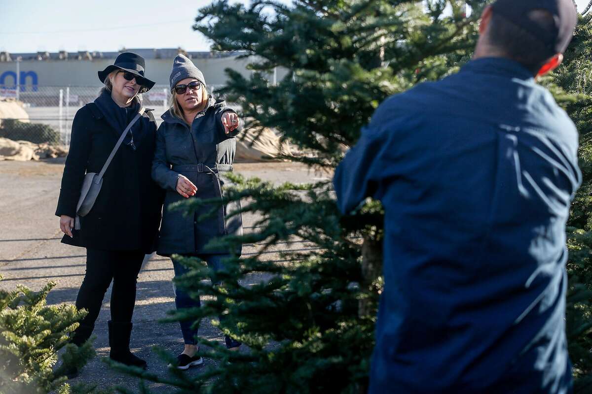 Last Word Dead trees are reason for season