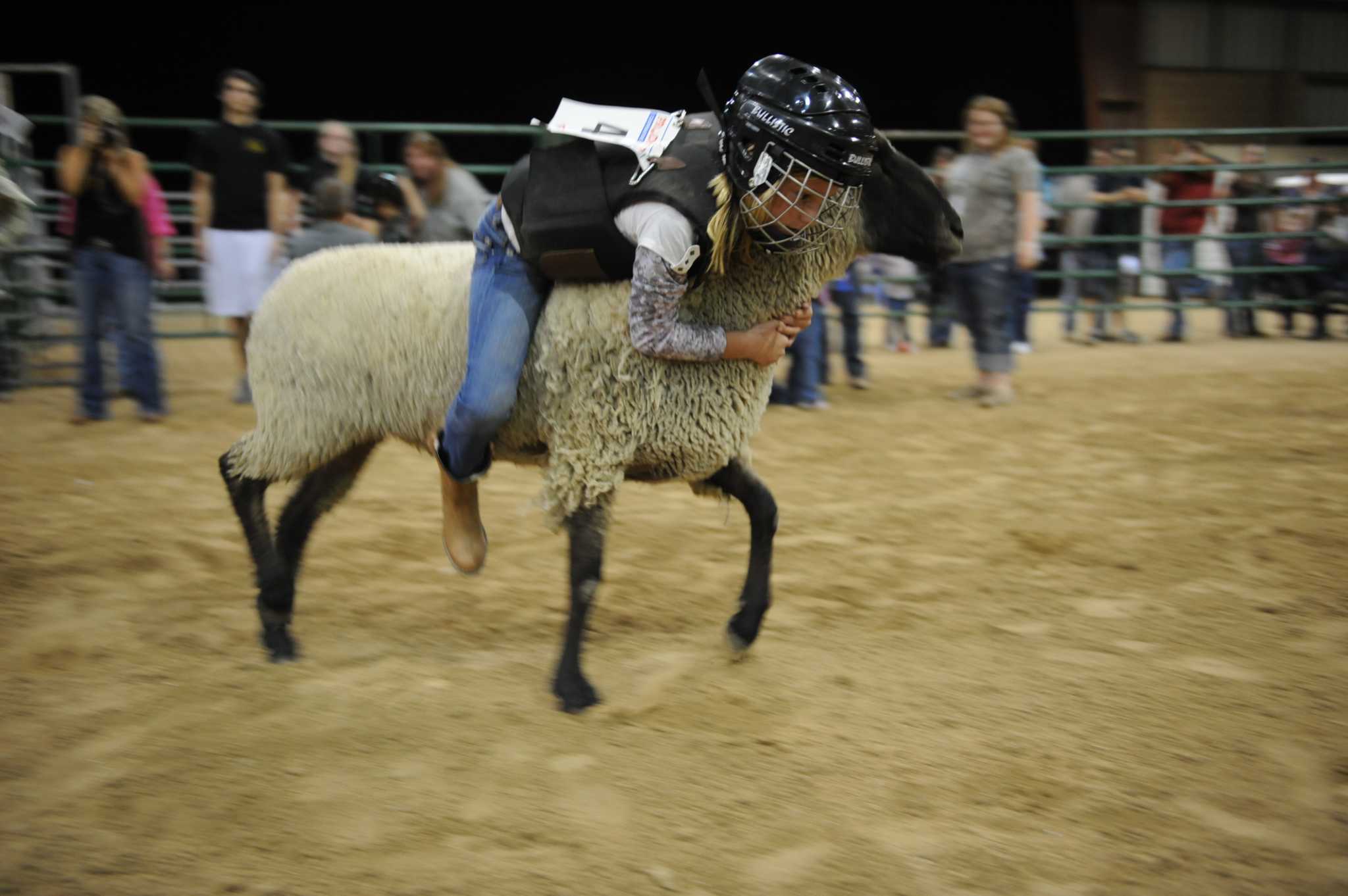 Harris County Fair ends 40year run