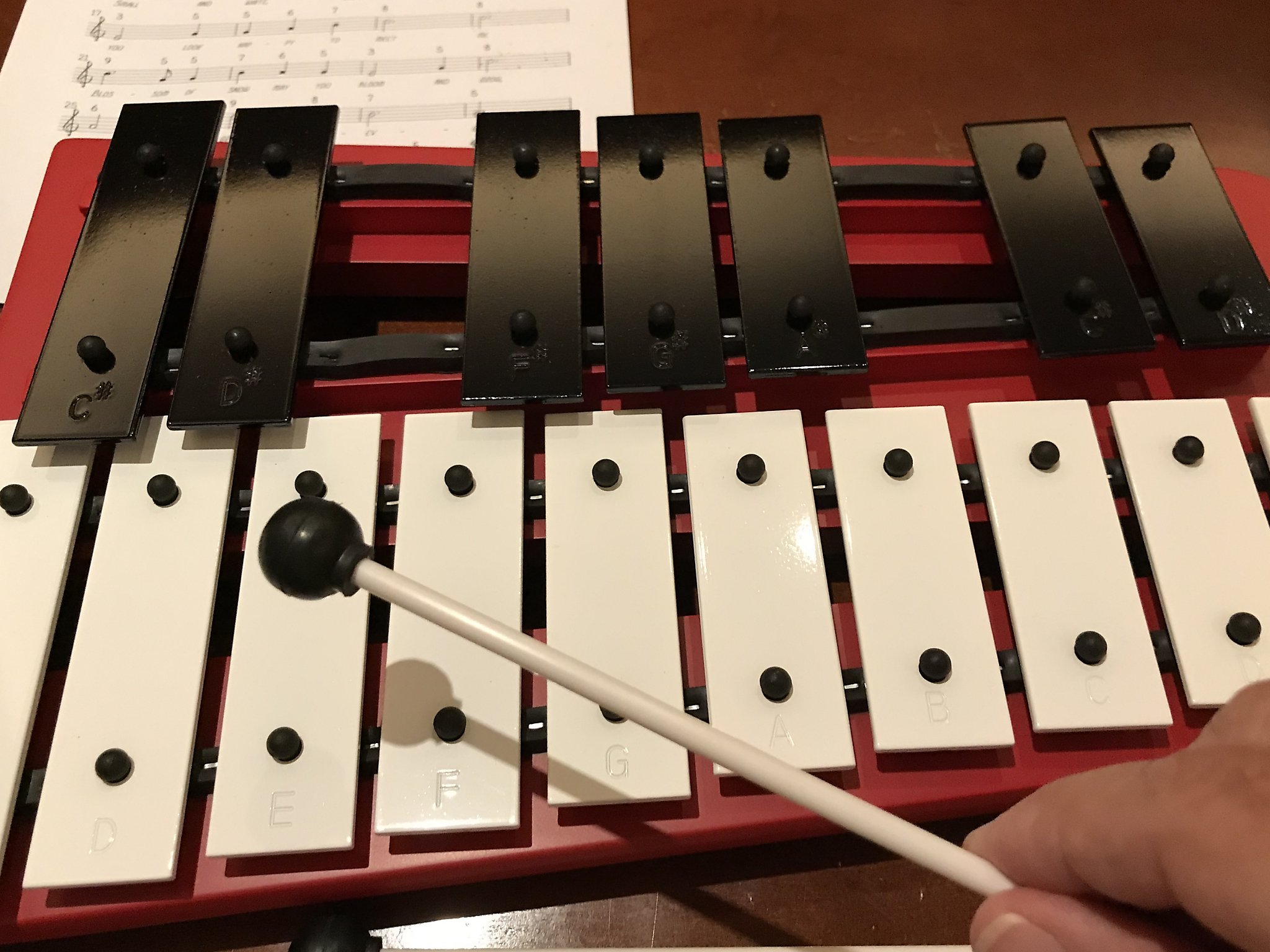 Cruises Glockenspiel class hits high note on high seas